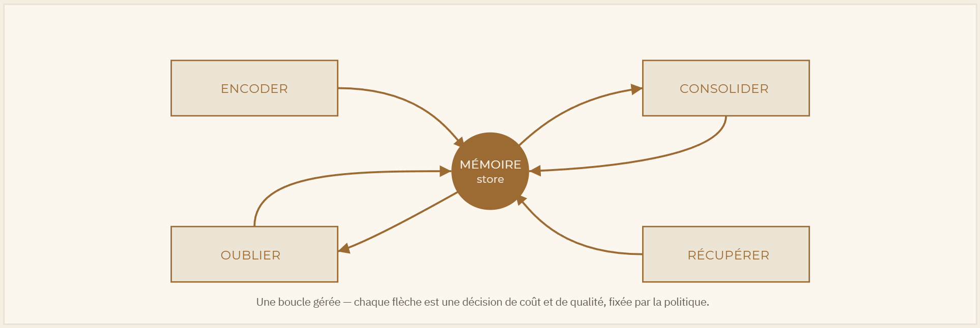 Fig. 2 — Le cycle de vie de la mémoire. L'encodage est une extraction structurée, pas un dépôt de; la consolidation distille les épisodes en insight; la récupération garde la fenêtre légère ; l'oubli borne la croissance.